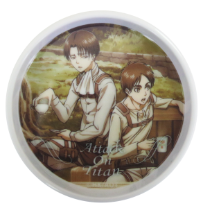 メラミントレイ1